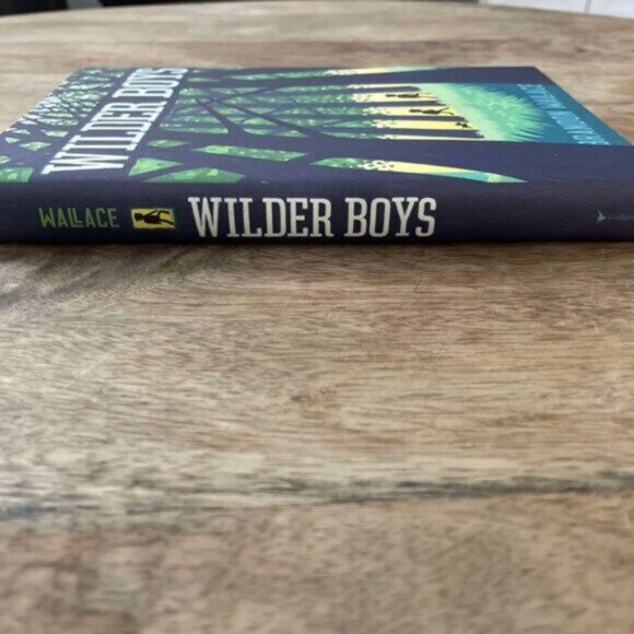 5/$20 NEW The Wilder Boys by Brandon Wallace Book - Picture 3 of 5